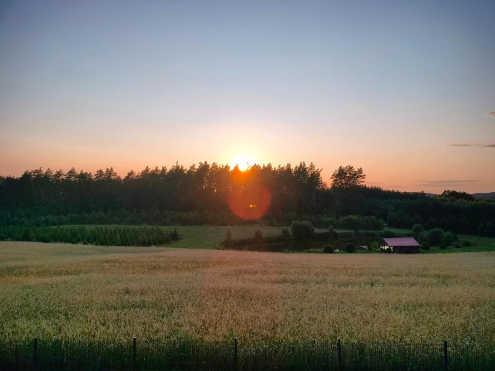 Agroturystyka U Kasi Suryty Exteriör bild